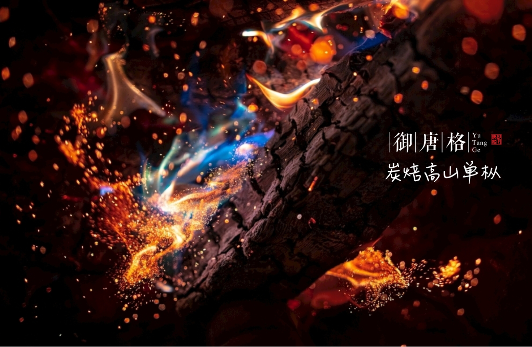 凤凰炭焙单枞